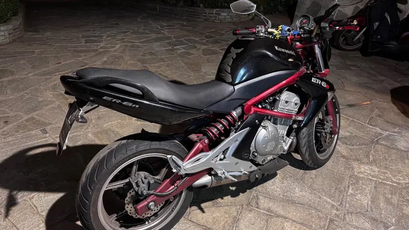 Kawasaki ER-6N (2005 - 08) (10)