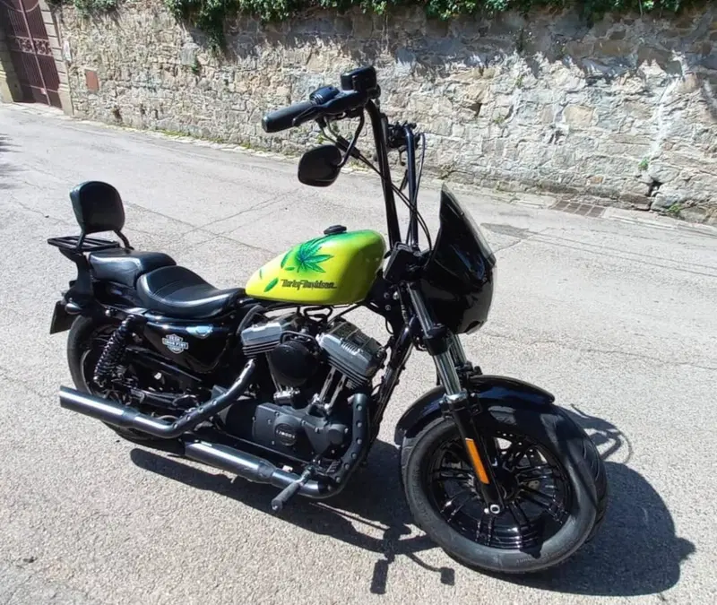 Harley-Davidson 1200 Forty-Eight (2016 - 20) (12)