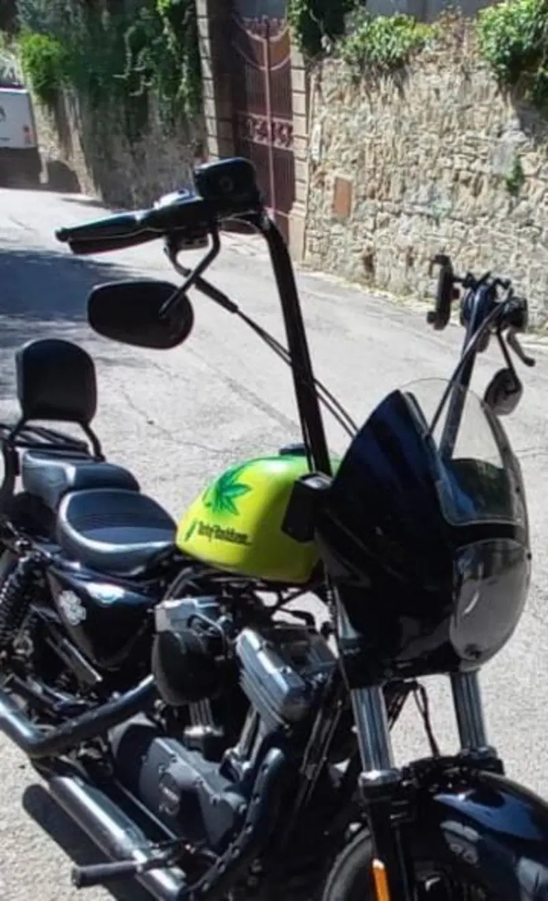 Harley-Davidson 1200 Forty-Eight (2016 - 20) (13)