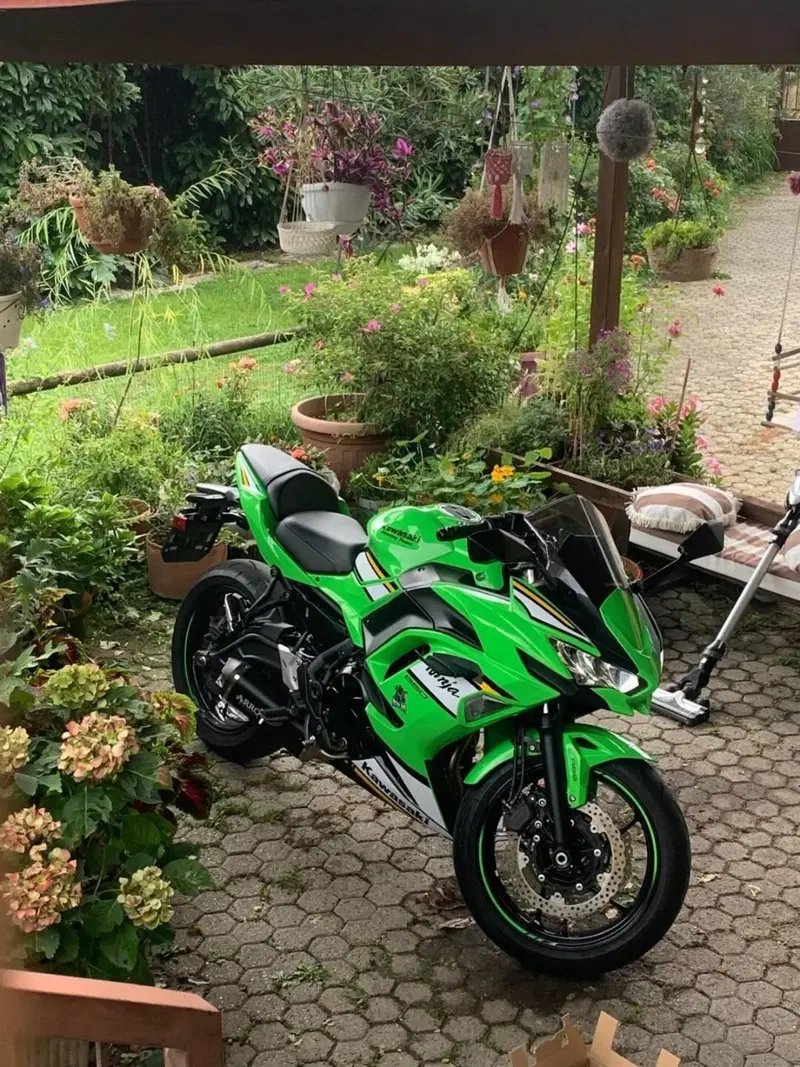 Kawasaki Ninja 650 (2025 - 26) (3)
