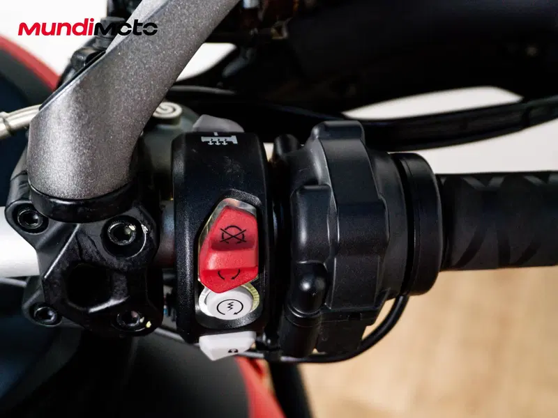 Ducati Multistrada 950 S (2019 - 20) (17)