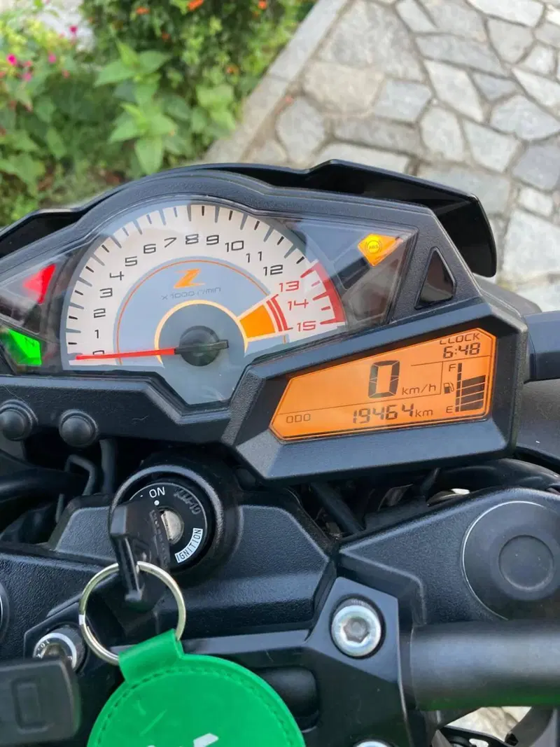 Kawasaki Z 300 ABS (2015 - 16)