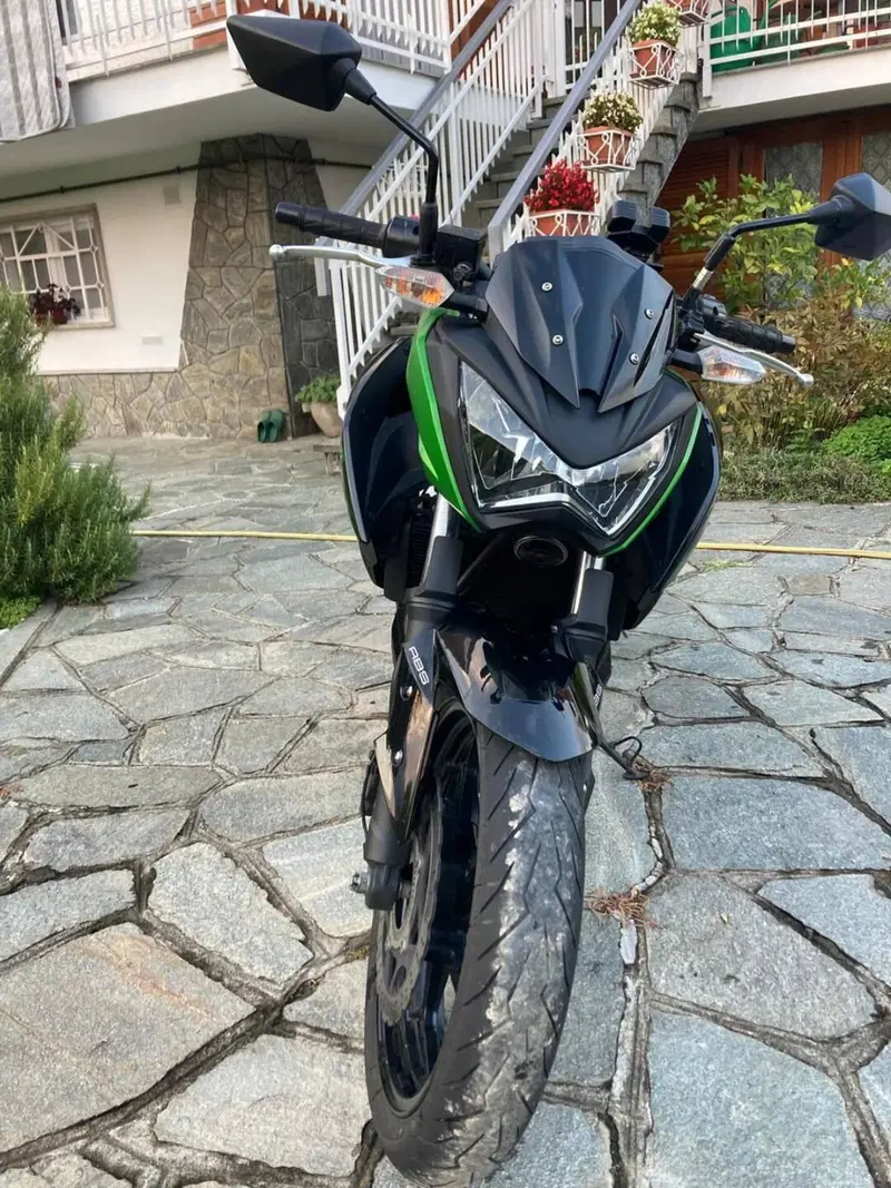 Kawasaki Z 300 ABS (2015 - 16) (5)