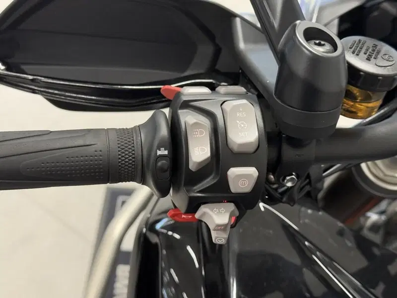 Triumph Tiger 1200 Rally Explorer (2022 - 23) (8)