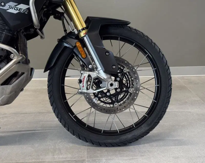 Triumph Tiger 1200 Rally Pro (2022 - 23) (10)