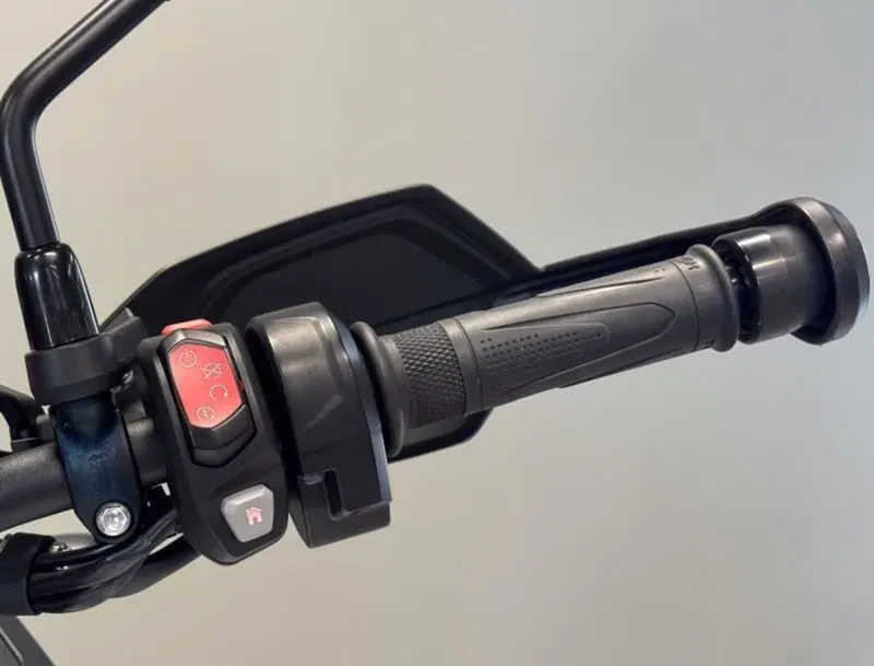 Triumph Tiger 1200 Rally Pro (2022 - 23) (12)
