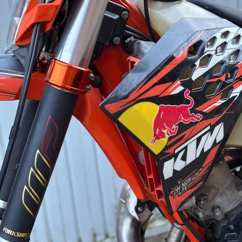 KTM 125 EXC Six Days (2011) (5)
