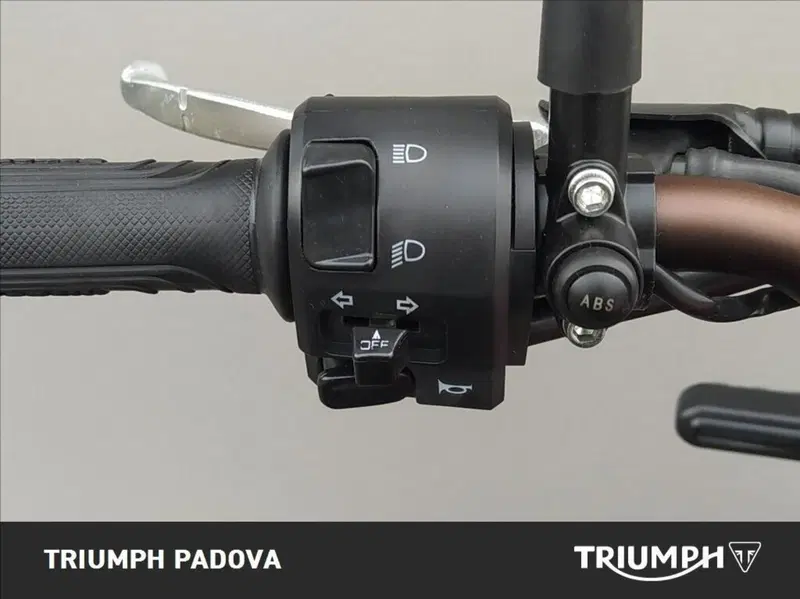 Benelli Leoncino 500 Trail ABS (2017 - 20) (12)