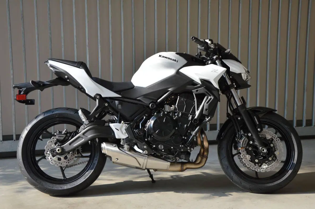 Kawasaki Z 650 (2025 - 26)