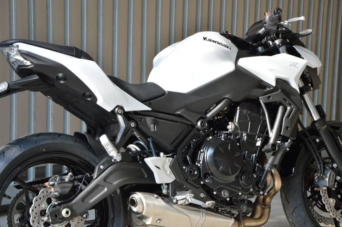 Kawasaki Z 650 (2025 - 26) (4)