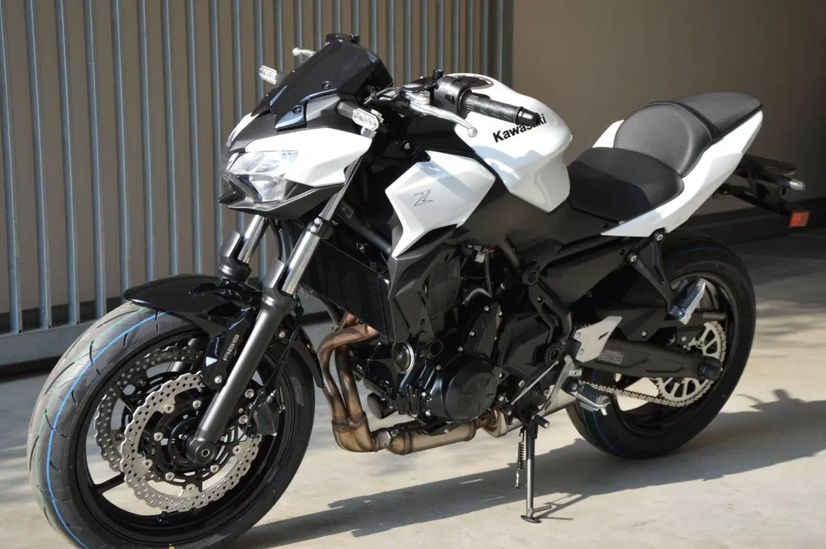 Kawasaki Z 650 (2025 - 26) (7)