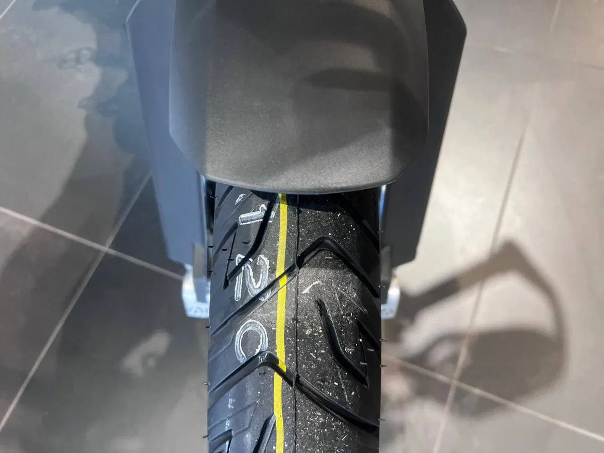 Bmw F 900 GS (2024 - 26) (14)