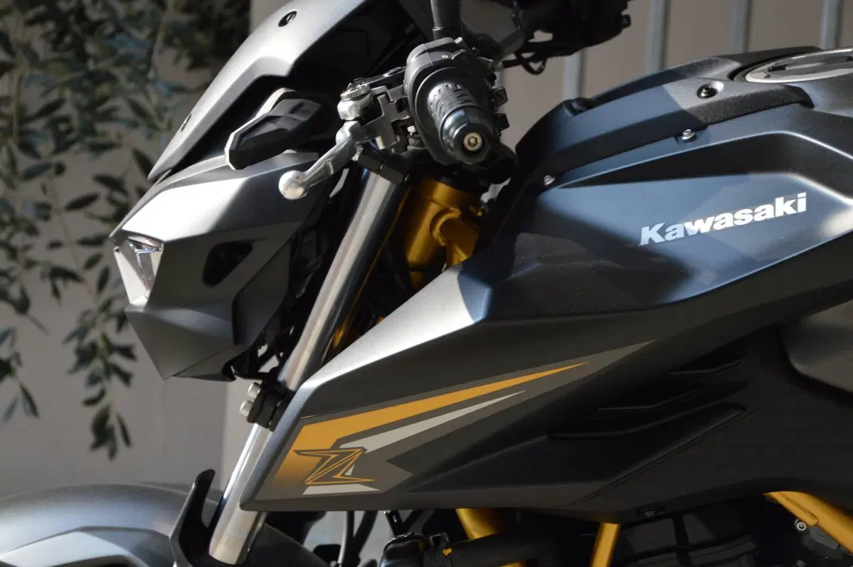Kawasaki Z 650 S (2026) (12)