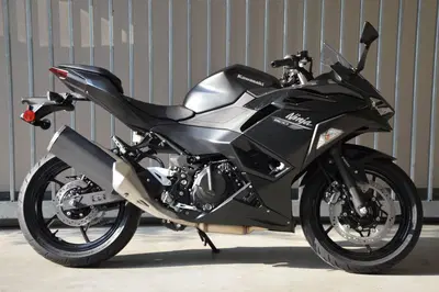 Kawasaki Ninja 500 (2024 - 26) nuova