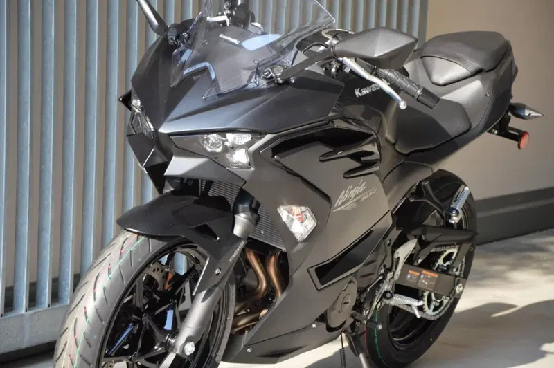 Kawasaki Ninja 500 (2024 - 26) (10)