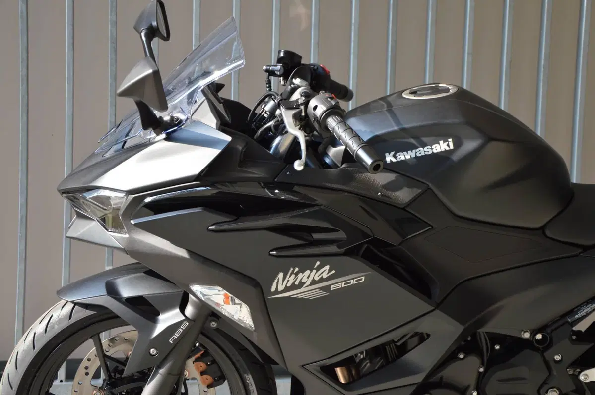 Kawasaki Ninja 500 (2024 - 26) (11)