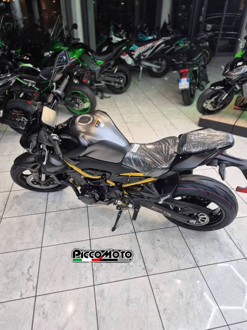 Kawasaki Z 900 (2025 - 26) (11)