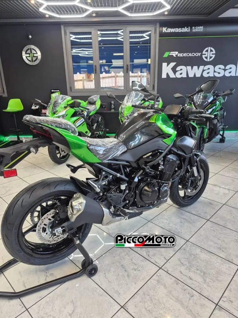 Kawasaki Z 900 (2025 - 26) (12)