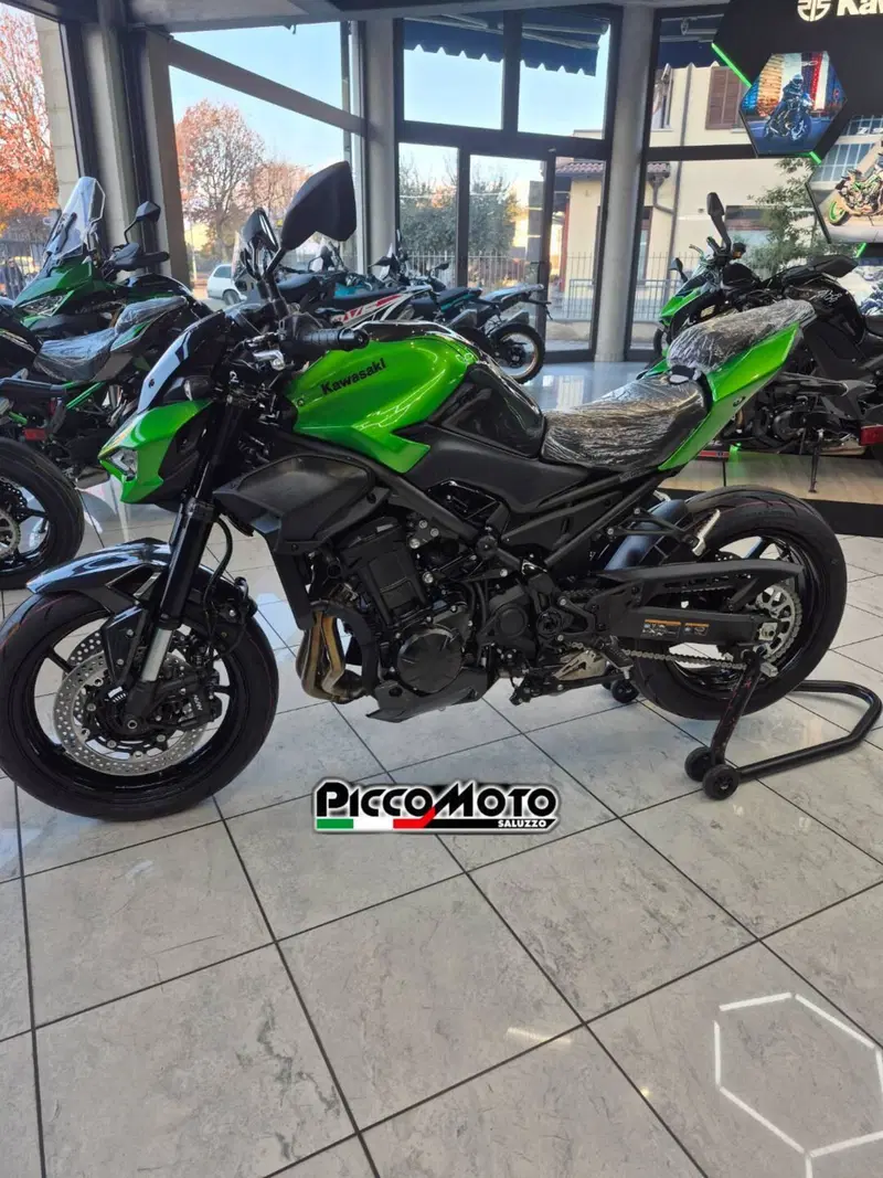 Kawasaki Z 900 (2025 - 26) (15)