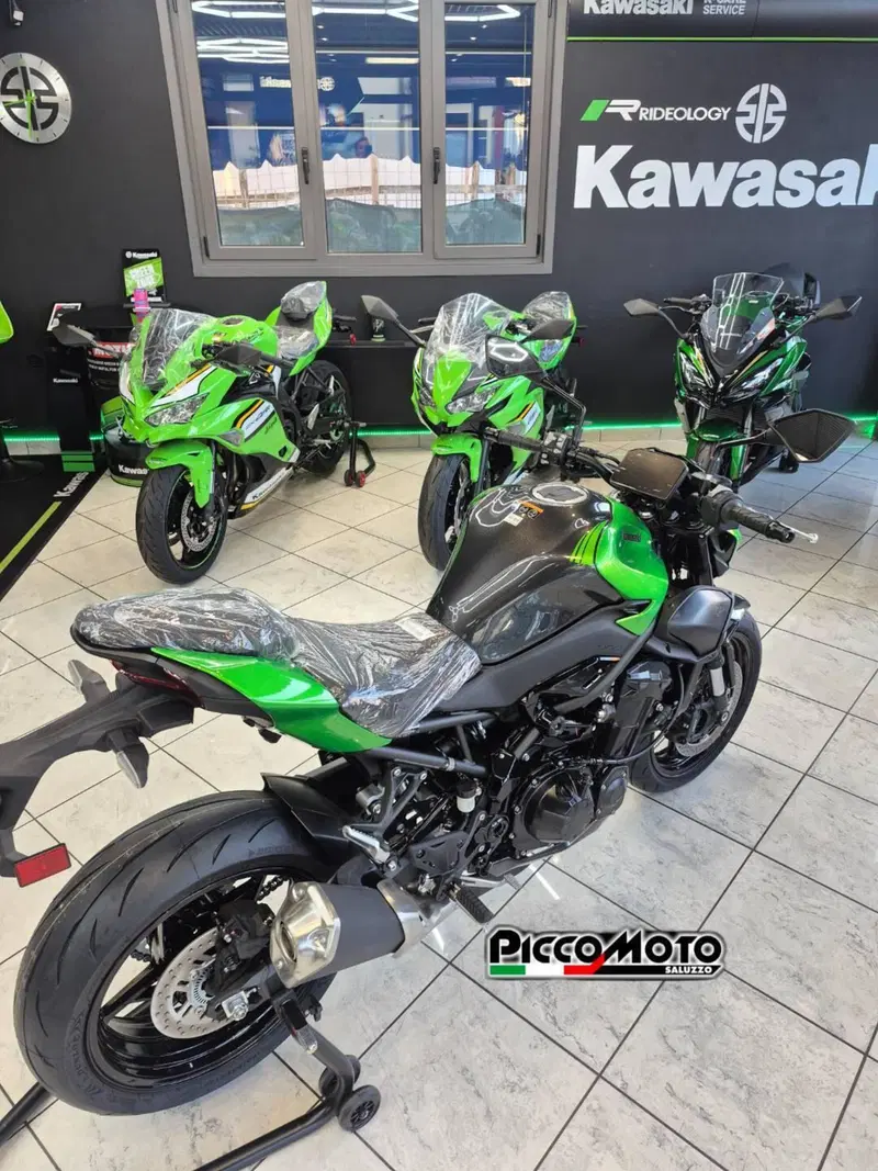 Kawasaki Z 900 (2025 - 26) (16)