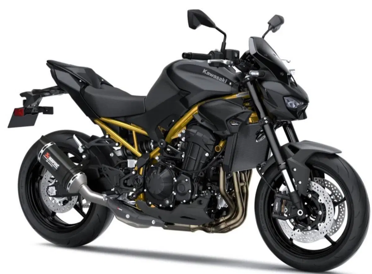 Kawasaki Z 900 (2025 - 26) (2)