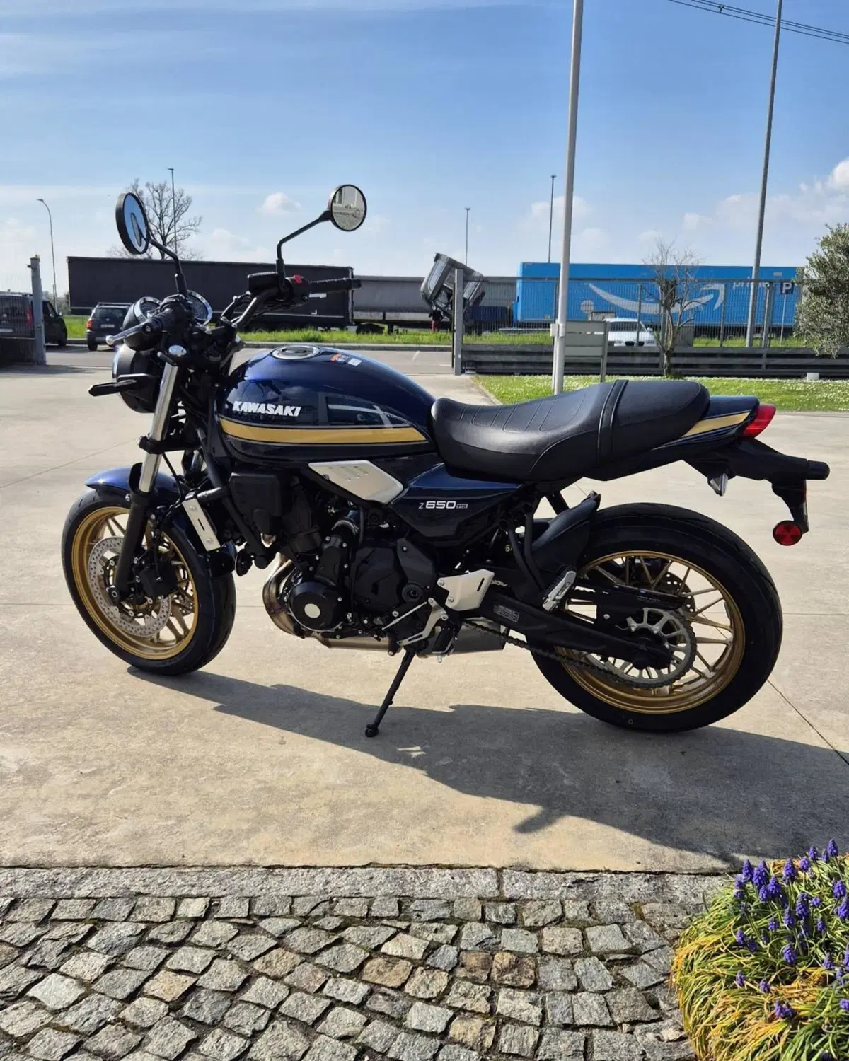 Kawasaki Z 650 RS (2025 - 26) (3)