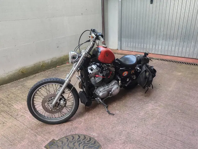 Harley-Davidson 883 Custom (2001 - 05) - XL 53C (3)