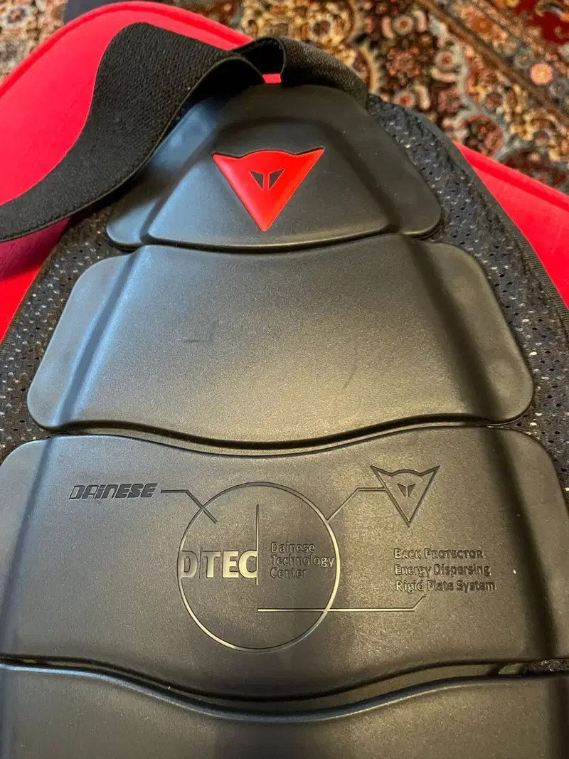 Para schiena con fascia elastica Dainese (2)