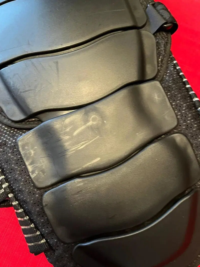 Para schiena con fascia elastica Dainese (3)