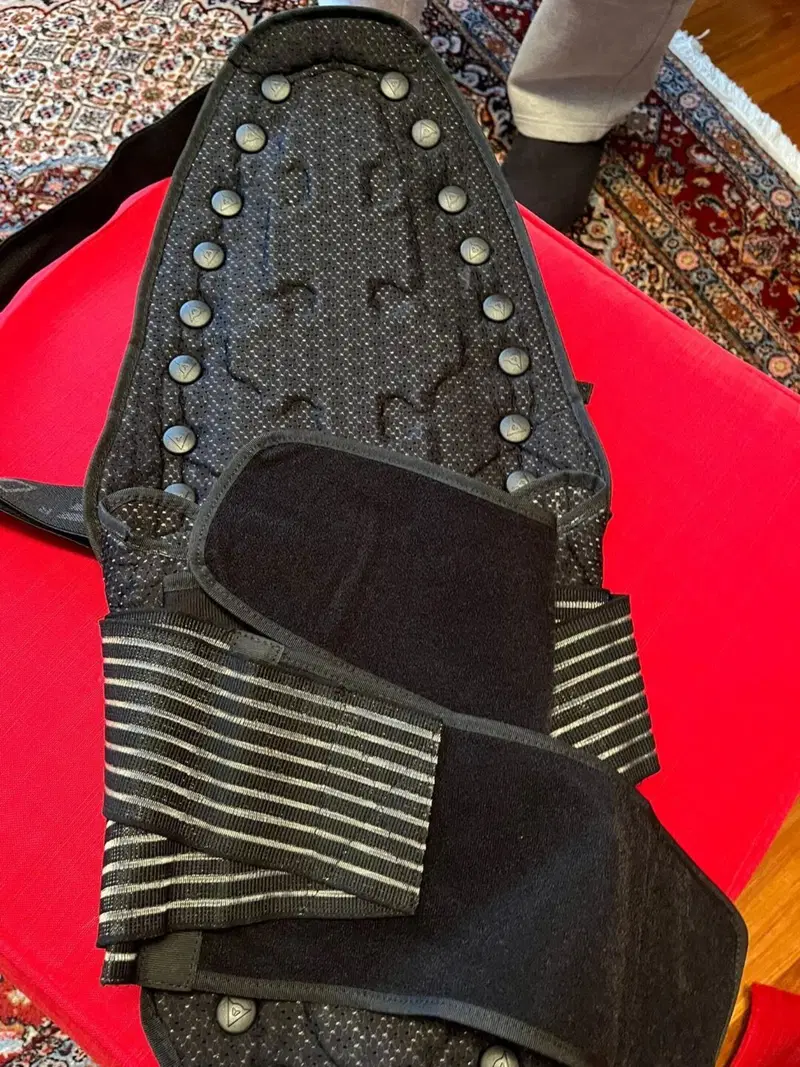 Para schiena con fascia elastica Dainese (4)