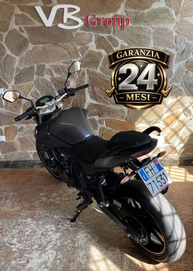 Voge Brivido 500R (2021 - 24) (6)