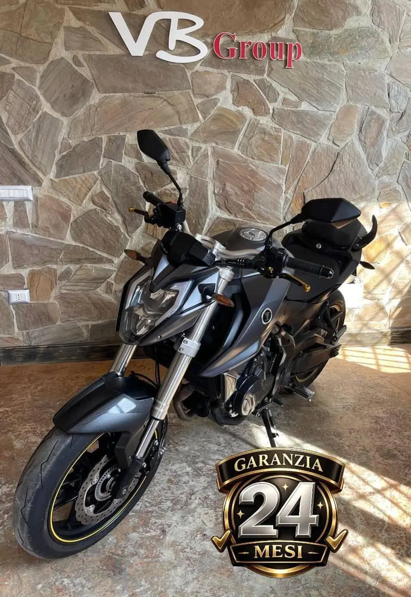 Voge Brivido 500R (2021 - 24) (3)
