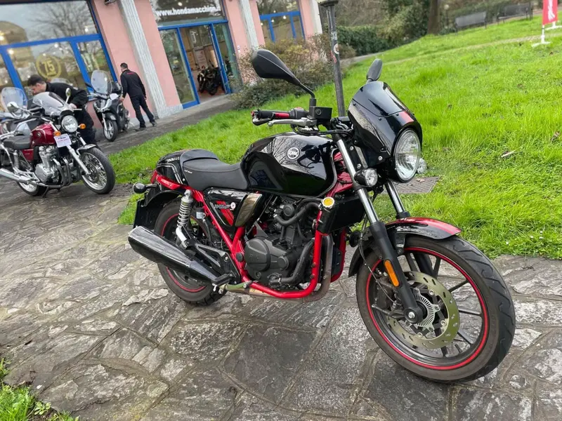 Sym Wolf CR 300 (2019 - 20) (4)