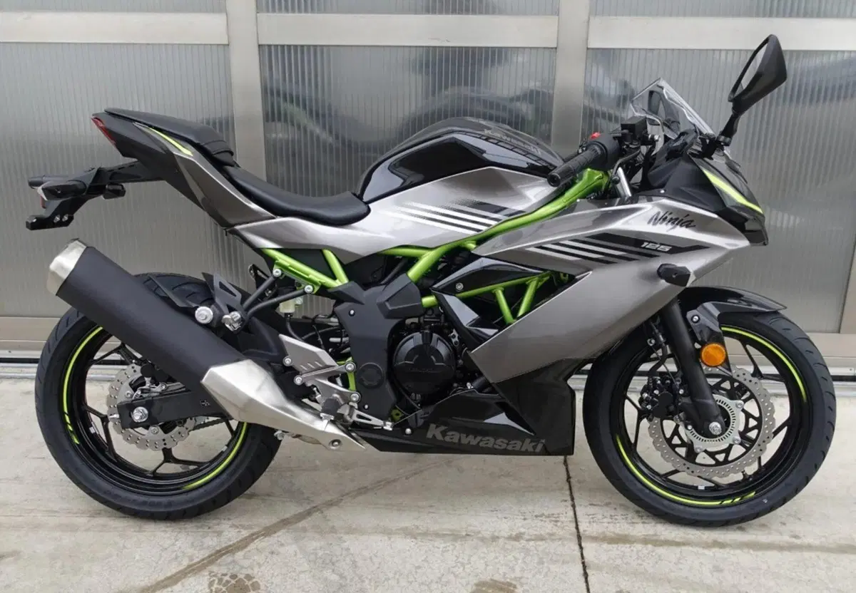 Kawasaki Ninja 125 (2025 - 26) (5)