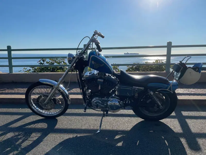 Harley-Davidson 1200 Custom (2001 - 03) - XL 1200C (3)