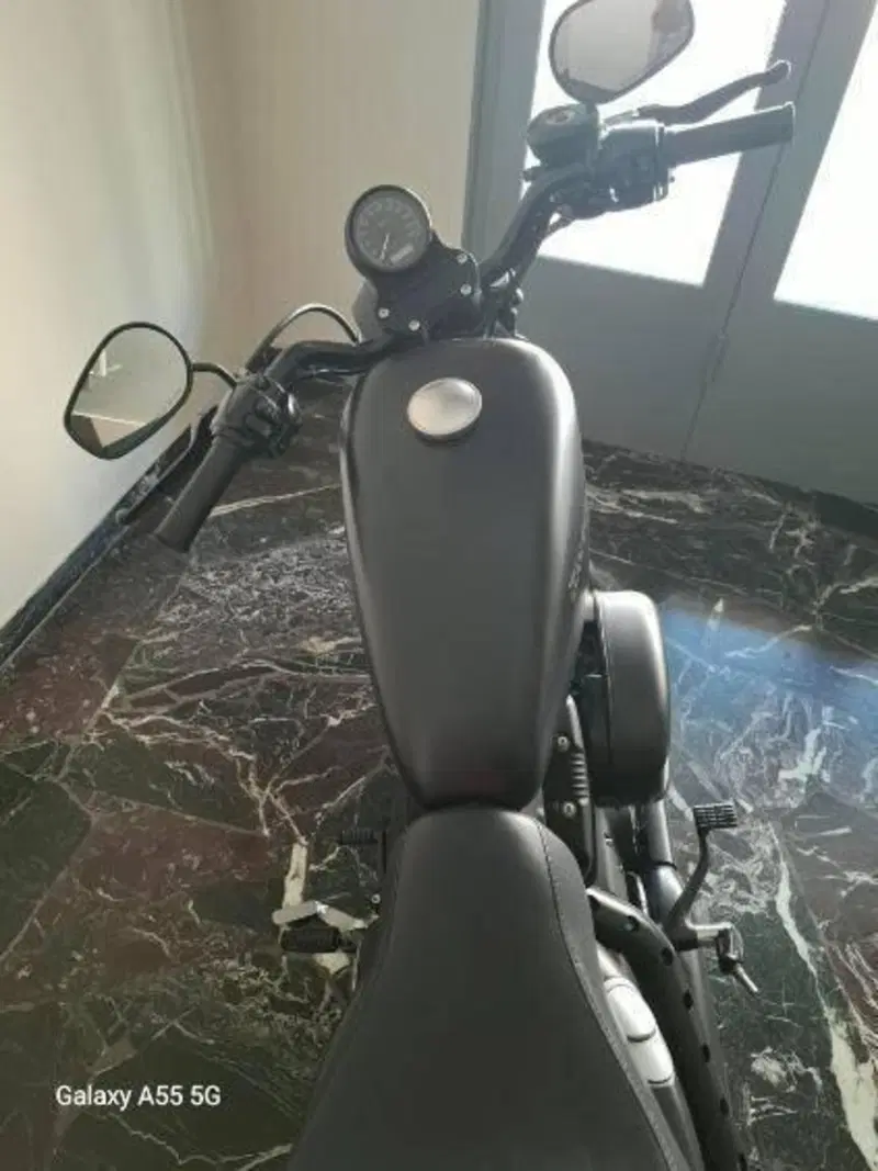 Harley-Davidson 883 Iron (2009 - 11) - XL 883N (2)