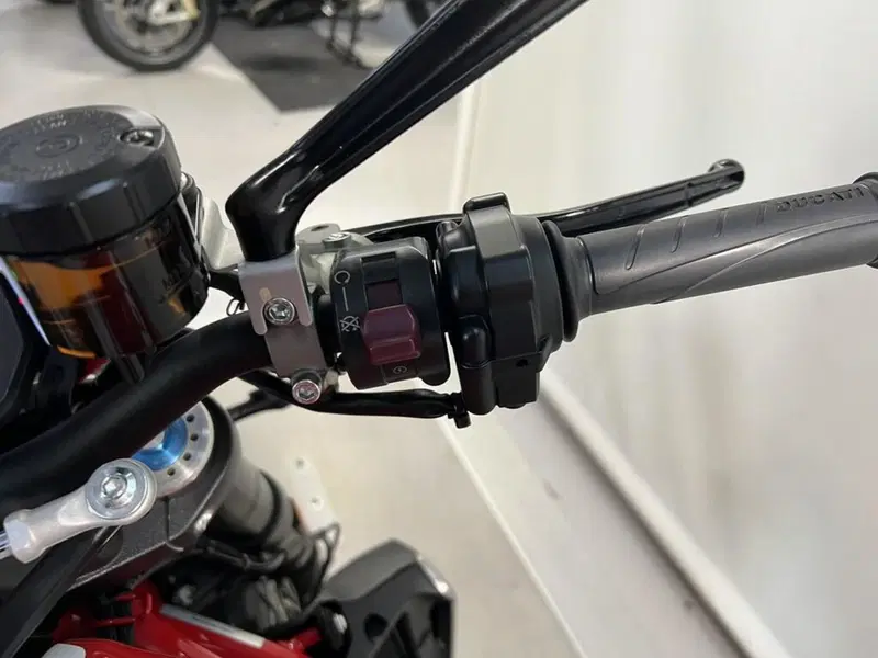 Ducati Monster 1200 R (2016 - 19) (9)