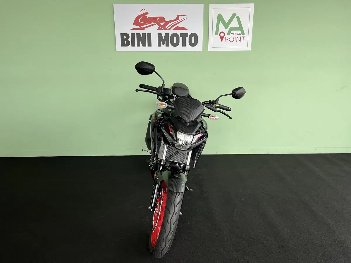 Suzuki GSX-S125 (2017 - 20) (3)
