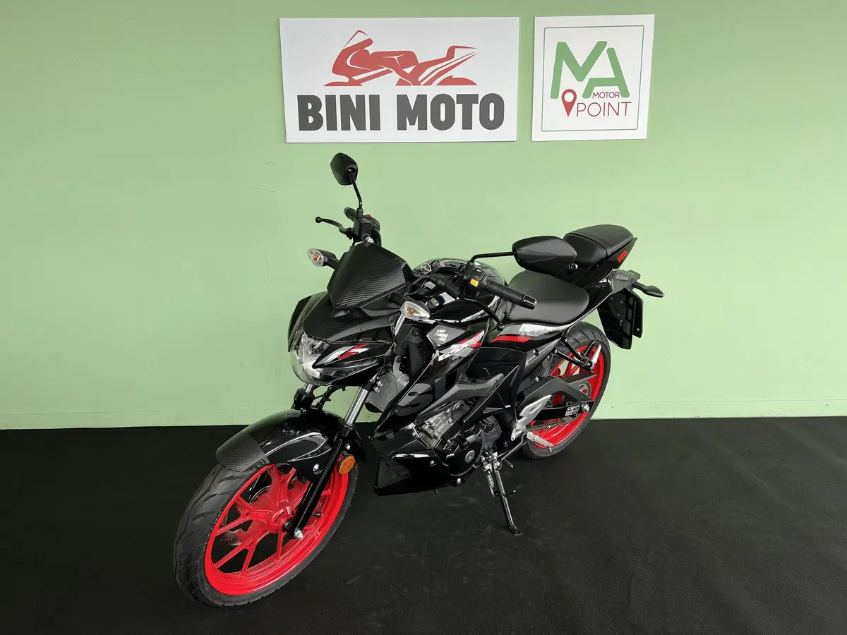 Suzuki GSX-S125 (2017 - 20) (4)