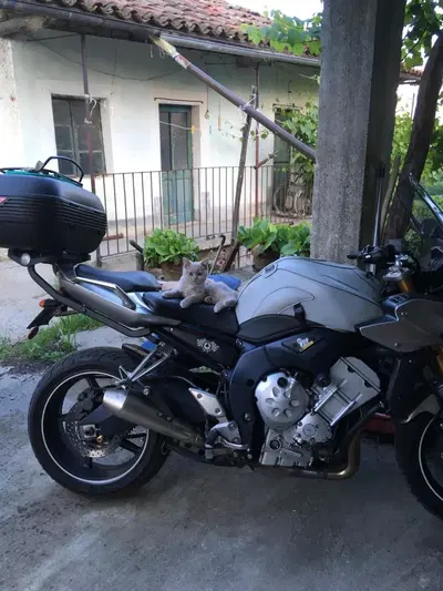 Yamaha FZ1 Fazer (2006 - 16) usata