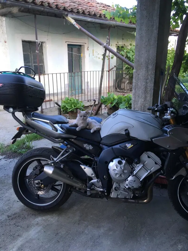 Yamaha FZ1 Fazer (2006 - 16)