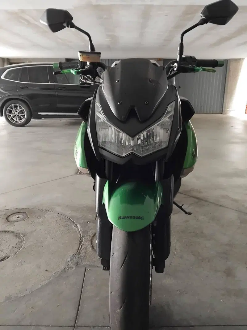 Kawasaki Z 1000 (2010 - 13) (4)