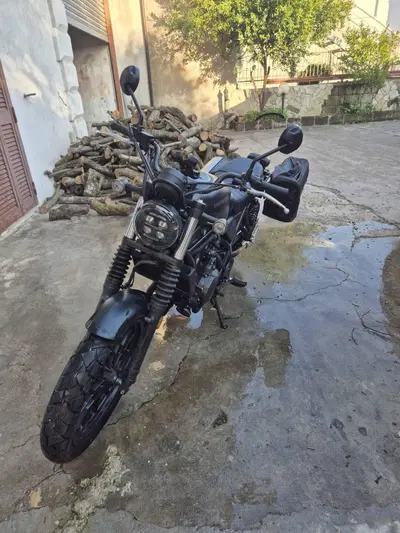 Honda CL500 (2023 - 24) usata