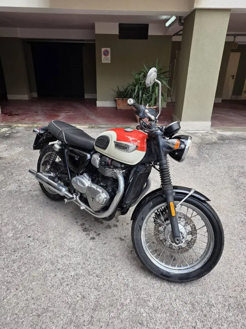 Triumph Bonneville T100 (2017 - 20) (3)