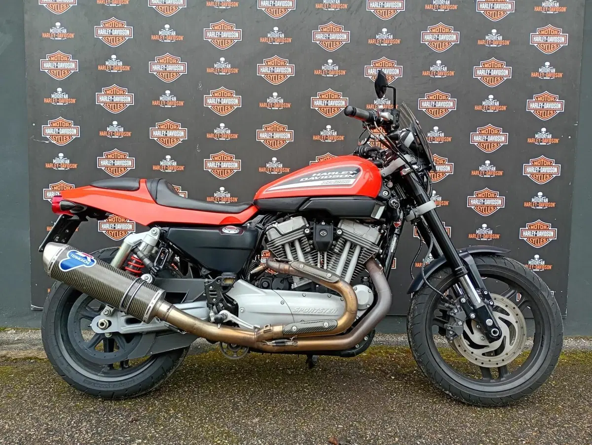 Harley-Davidson 1200 XR (2009 - 12)