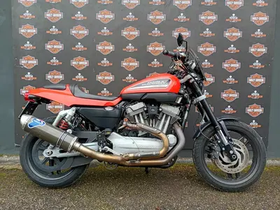 Harley-Davidson 1200 XR (2009 - 12) usata