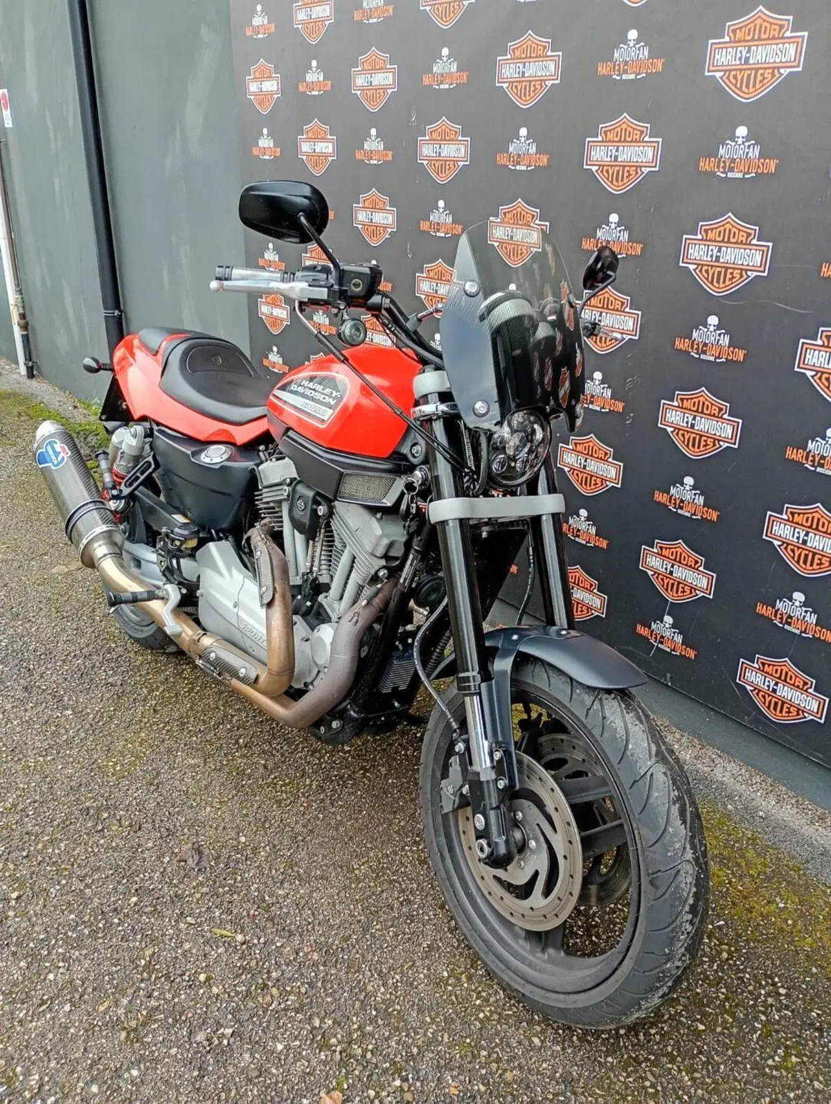 Harley-Davidson 1200 XR (2009 - 12) (4)