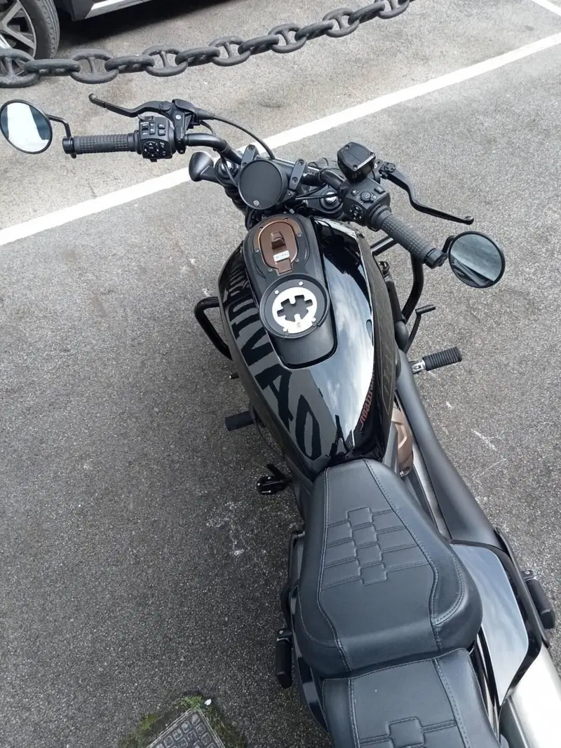Harley-Davidson Sportster S (2022 - 24) (2)