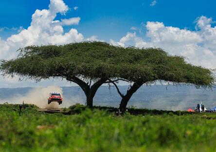 WRC26 #03 Kenya. D2. La rimonta bestiale di Sébastien Ogier