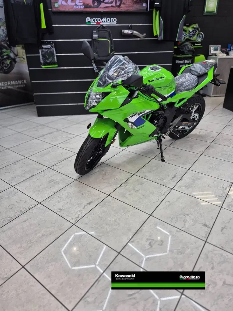 Kawasaki Ninja 125 (2025 - 26) (6)